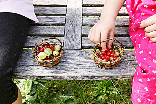 孩子,坐,园凳,吃,浆果