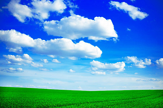 数码合成,绿色,草地,蓝天,图像