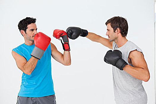 侧面视角,两个,男性,拳击手,练习