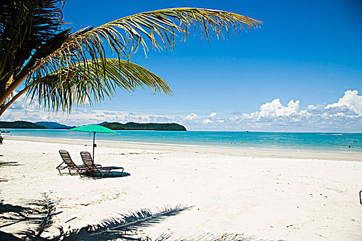 马来西亚,兰卡威,折叠躺椅,伞,白色背景,沙滩,棕榈树,远眺,蓝色海洋,海滩