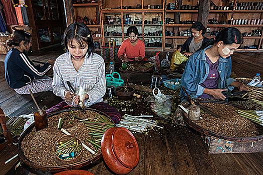 女孩,制造,雪茄,茵莱湖,掸邦,缅甸,亚洲
