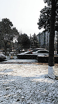 上海安亭雪景