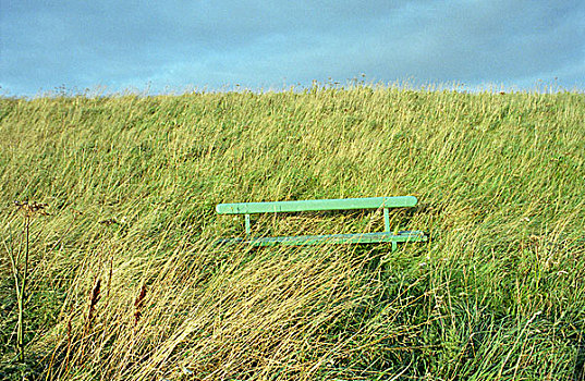 绿色,长椅,草坪