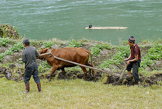 云南怒江峡谷福贡县的农民在怒江边耕种