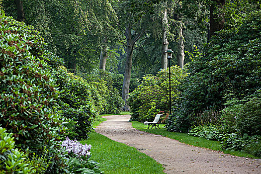 杜鹃花属植物,公园,梅克伦堡前波莫瑞州,德国,欧洲
