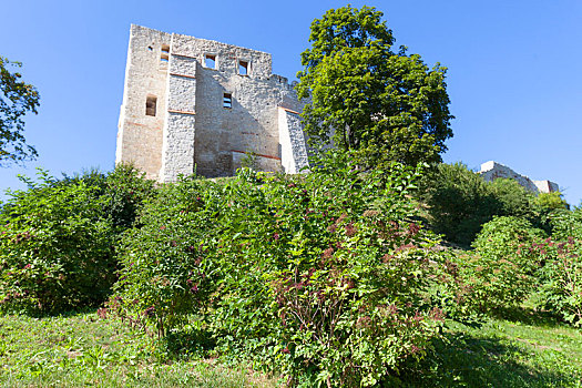 遗址,14世纪,城堡,防御,要塞,波兰