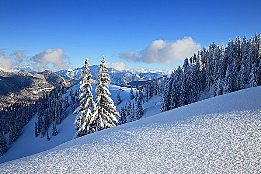 冬季风景,山谷,巴伐利亚,德国
