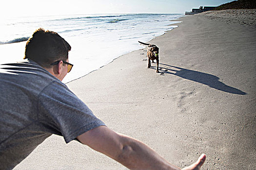 中年,男人,狗,玩,一起,海滩