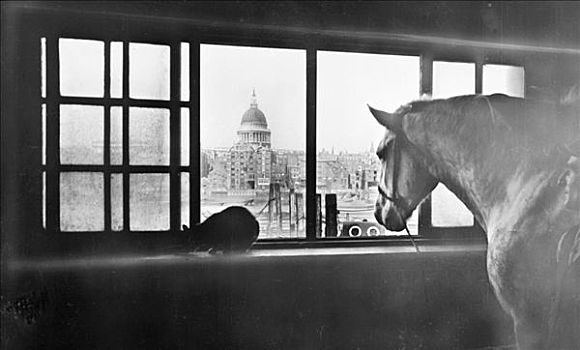 马,远眺,圣保罗大教堂,层,厩,伦敦,20世纪20年代,艺术家