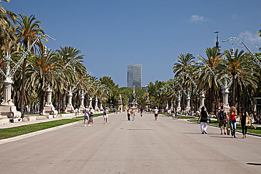 公园,区域,棕榈树,树,巴塞罗那,加泰罗尼亚,西班牙,欧洲