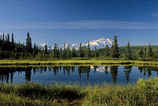 山,麦金利山,反射,块,水塘,德纳里峰国家公园,阿拉斯加