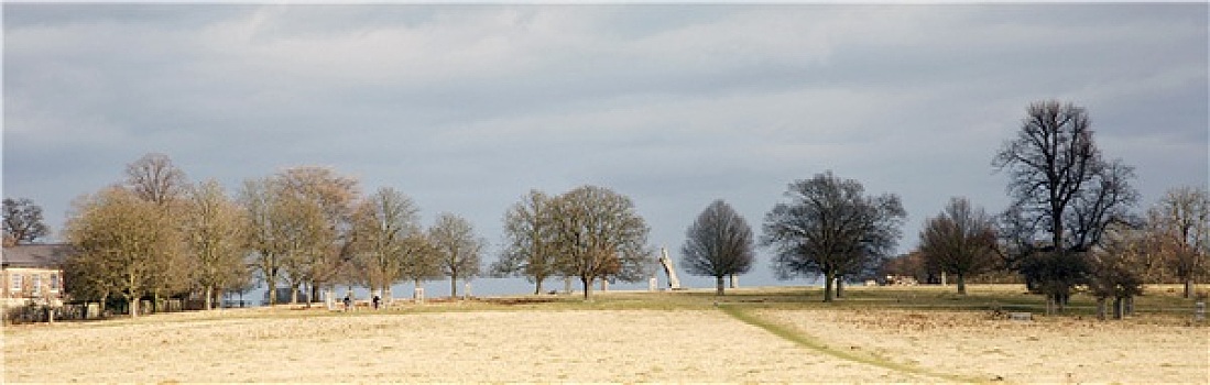 风景,里士满,公园