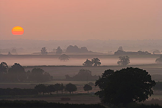 日落,上方,自然,什罗普郡,英格兰,英国