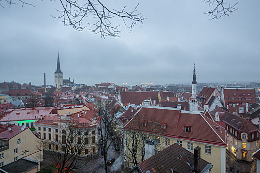 爱沙尼亚塔林老城冬季黄昏风景