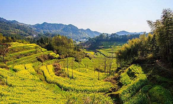 春日灵山梯田