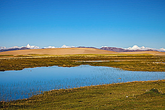 西藏阿里地区草原