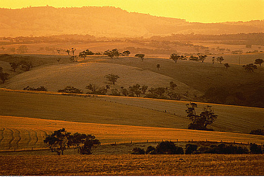 俯视,农田,日落,巴罗萨峡谷,澳洲南部,澳大利亚