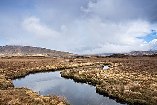 景色,远眺,康纳玛拉,湿地,靠近,戈尔韦郡,爱尔兰