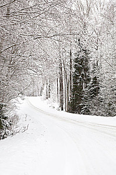 雪景,芬兰