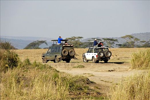 旅游,两个,丰田,塞伦盖蒂,坦桑尼亚