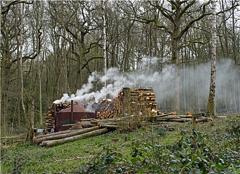 木碳,燃烧