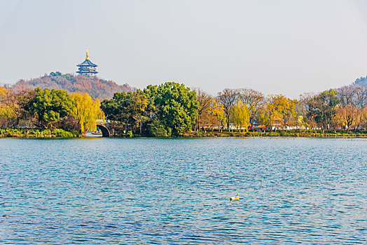 杭州西湖秋景雷峰塔