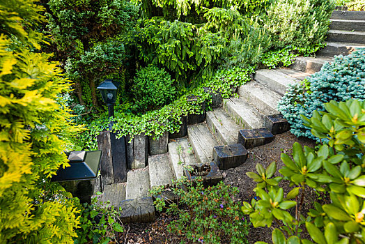 花园,楼梯,木质