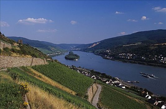 俯视,莱茵河谷,靠近,黑森州,莱茵高地区,区域,德国