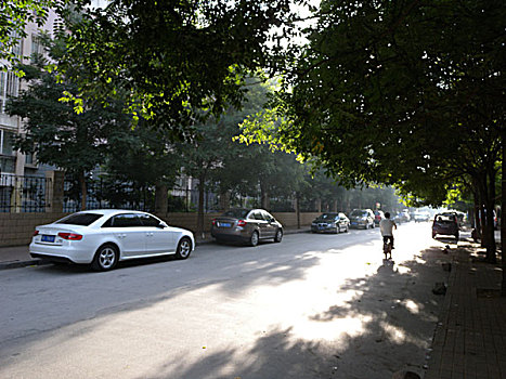 北戴河,树木,街道,道路,风景,安静,绿化