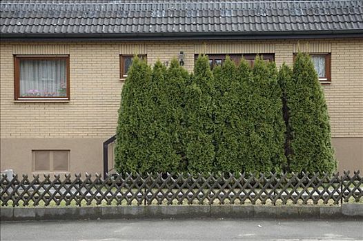 围栏,正面,房子