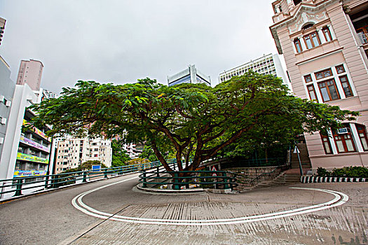 香港大学本部大楼前路