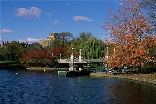 桥,花园,波士顿公共公园,波士顿,马萨诸塞,美国