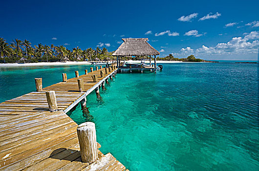 码头,加勒比岛屿,墨西哥,北美