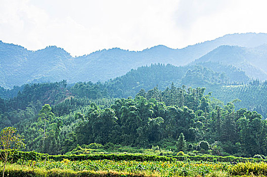 桂林山景秋色