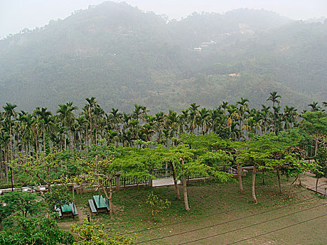 露营,地面