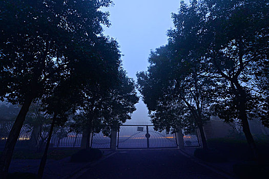 雾霾,大雾,夜晚,浓雾,清晨,早晨,黎明,住宅区,小区,灯光,路灯,树木,马路,街道,小巷,车灯