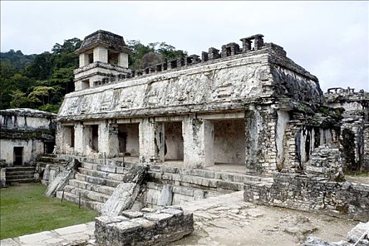 宫殿,庙宇,玛雅,靠近,帕伦克,恰帕斯,墨西哥,中美洲
