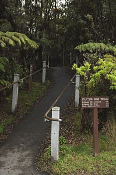 小路,夏威夷火山国家公园,夏威夷,美国