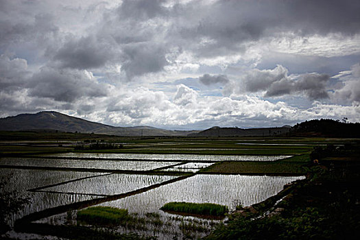 稻田,积雨云,马达加斯加