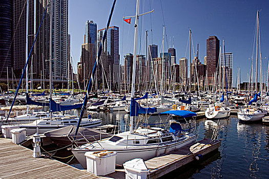 帆船,港口,芝加哥,芝加哥河,伊利诺斯,美国