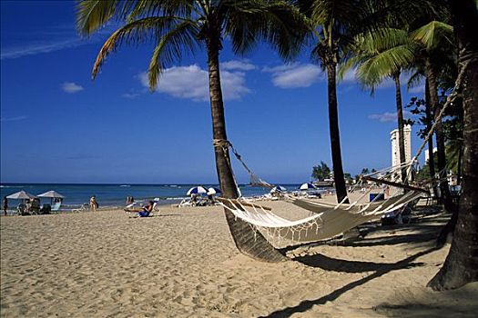 吊床,海滩,圣胡安,波多黎各,加勒比海
