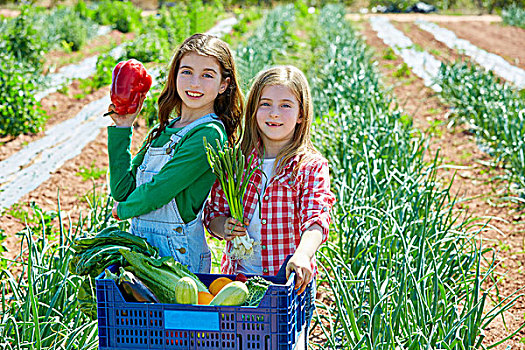 儿童,农民,女孩,蔬菜,丰收,果园