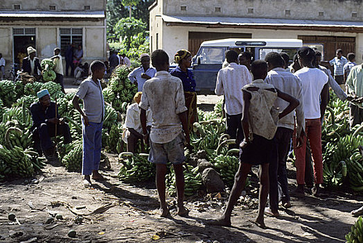 坦桑尼亚,靠近,乡村,市场一景,香蕉,市场