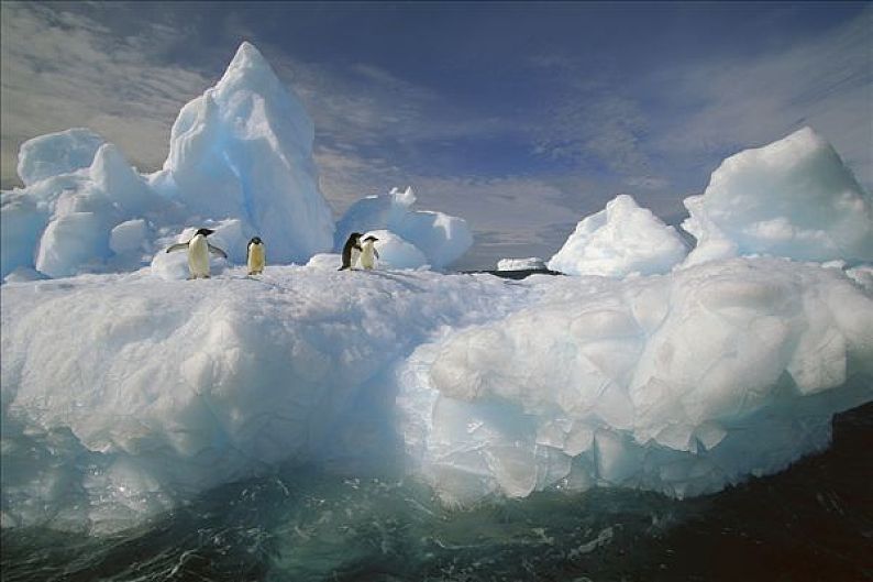 冰山企鹅创意图片