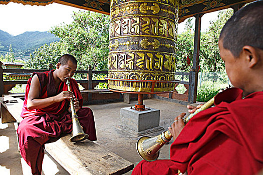 僧侣,演奏,庙宇,普那卡,地区,不丹,亚洲