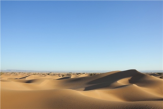 撒哈拉沙漠,沙丘,清晰,蓝天