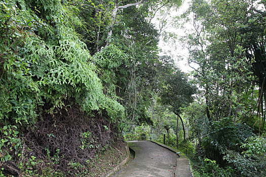 升旗山槟城