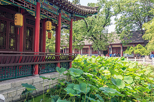 济南大明湖公园雨荷厅园林景观