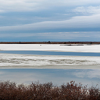 冰雪,平整,风景,云,反射,水,丘吉尔市,曼尼托巴,加拿大