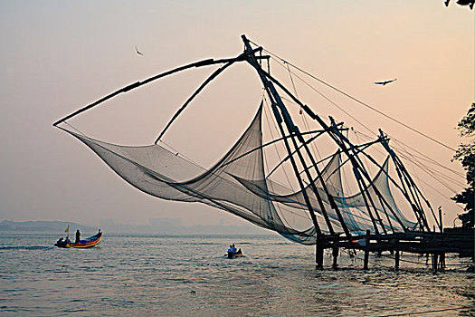 捕鱼,陷阱,日出,喀拉拉,印度,亚洲